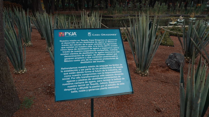 Campos de los Dragones, Jardín Botánico de Chapultepec Campos de los Dragones, Jardín Botánico de Chapultepec