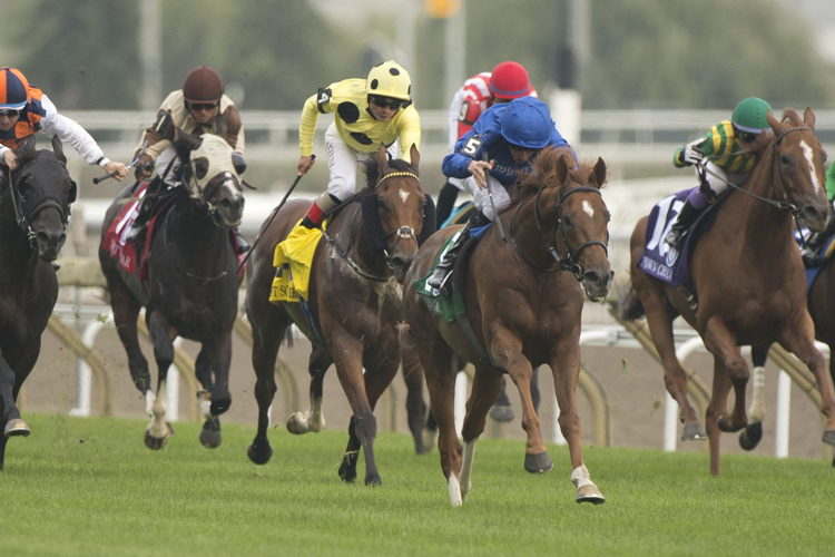 Modern Games and jockey William Buick winning the Ricoh Woodbine Mile on September 17, 2022 at Woodbine (Michael Burns Photo)