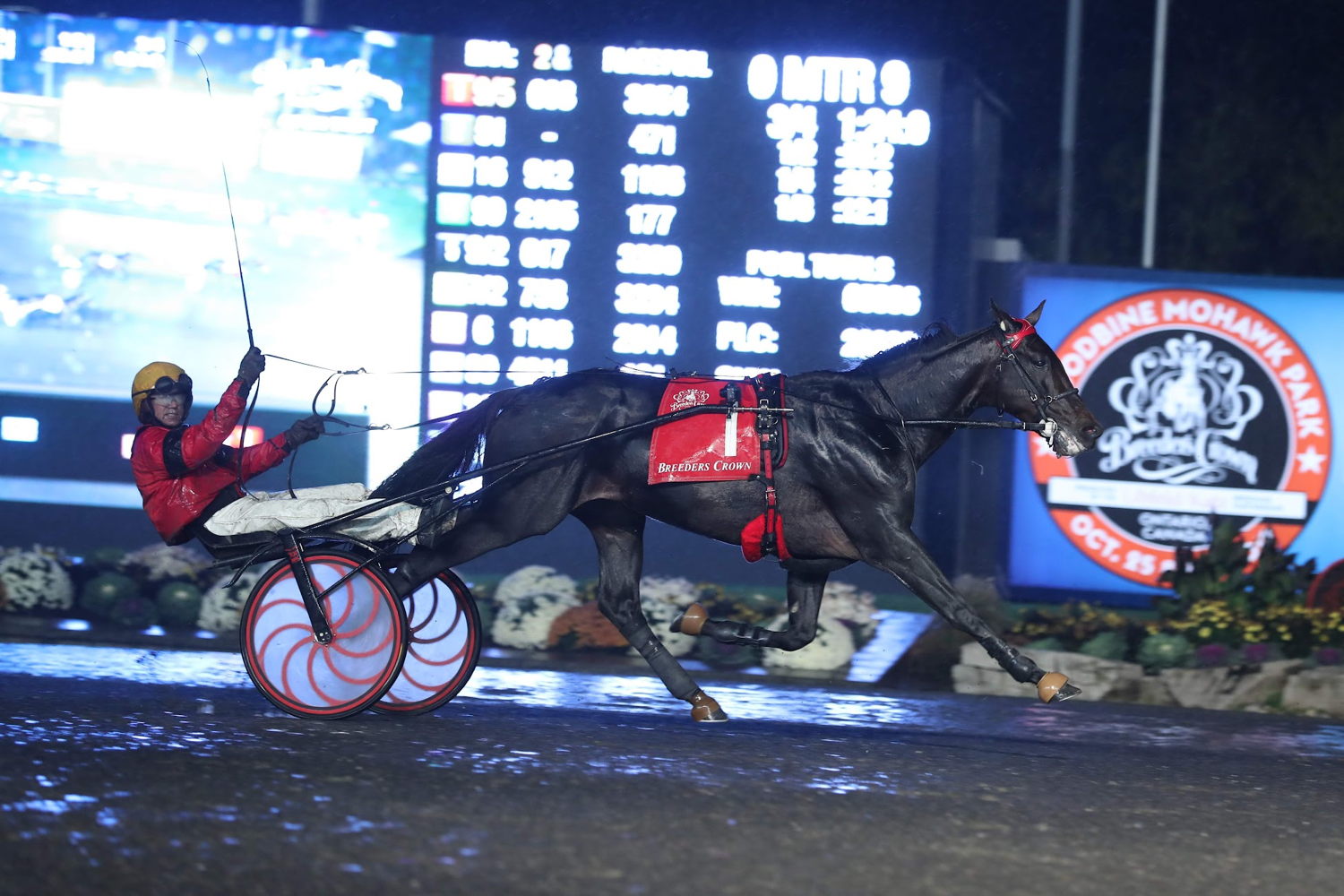 Legendary French trotter Bold Eagle winning the Breeders Crown Open Trot in 2019 at Woodbine Mohawk Park. (New Image Media)