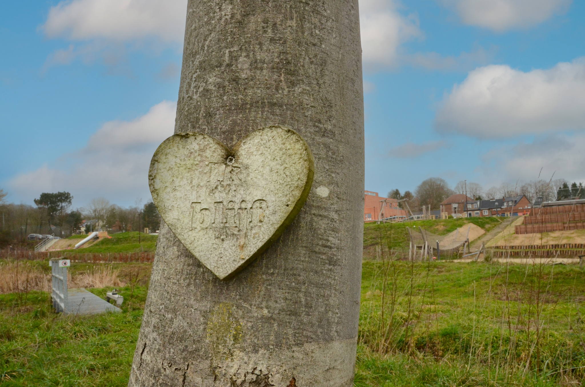 In het park bleven oude bomen staan. We plantten ook nieuwe, inheemse bomen en struiken aan. In het park bleven oude bomen staan. We plantten ook nieuwe, inheemse bomen en struiken aan.