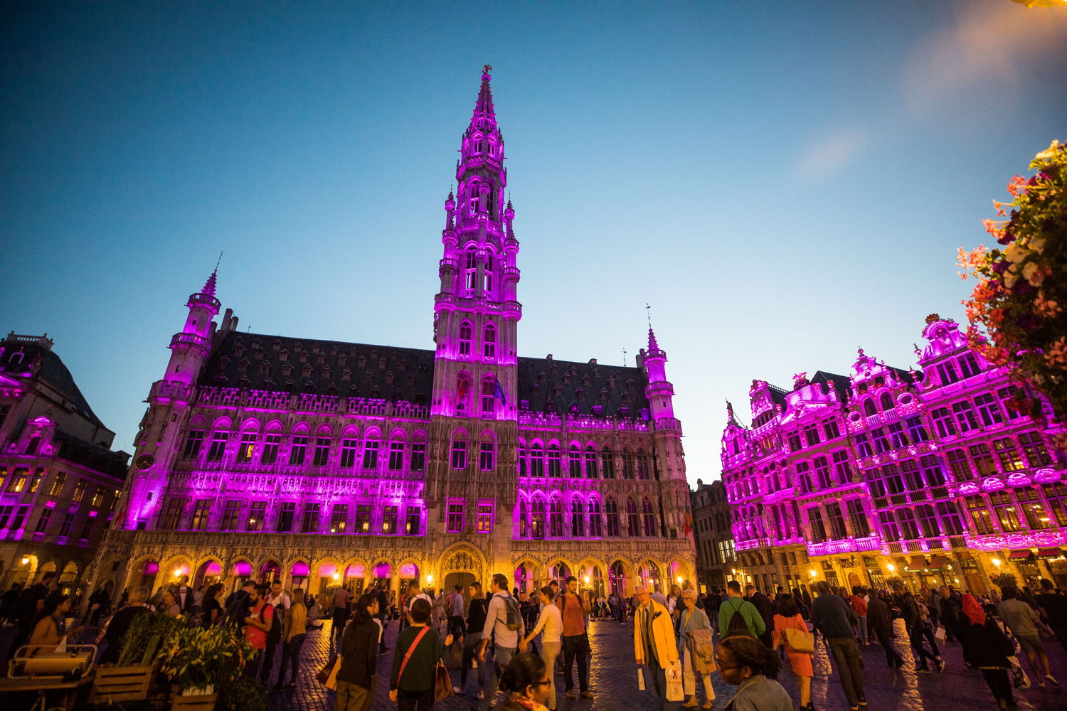 PinkIllumination_BrusselsGrandPlace_ELC