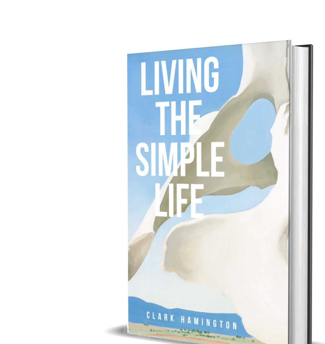 Simple Book Cover Design Inspiration