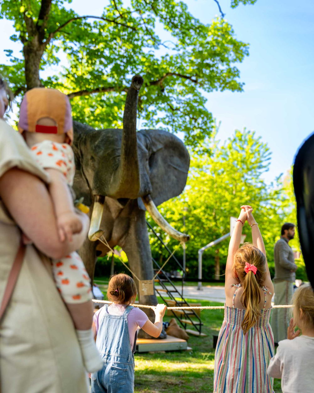 Tembo (c) Dries Theuwissen