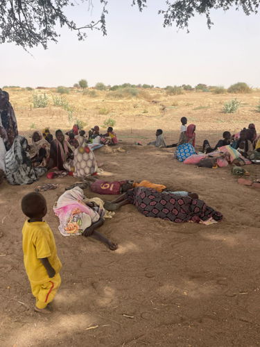 New families arrived in Tawila following new attacks in Zamzam camps. Copyright: Marion Ramstein/MSF