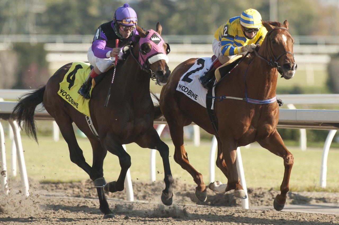 Pink Lloyd and Rafael Hernandez make it stakes win #25 capturing the Ontario Jockey Club Stakes at Woodbine. (Michael Burns Photo)