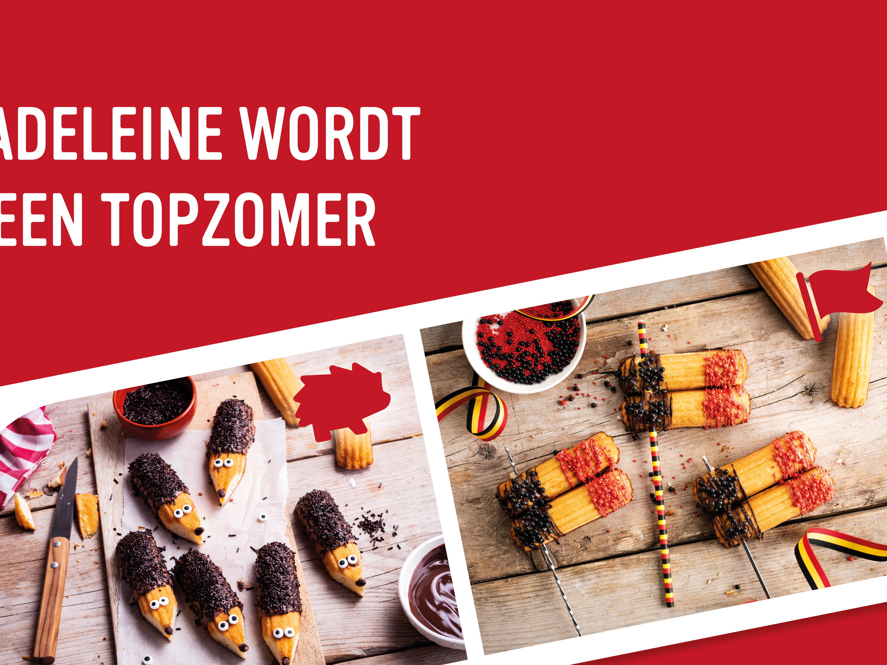 Met Lotus Madeleine wordt jouw zomer een topzomer