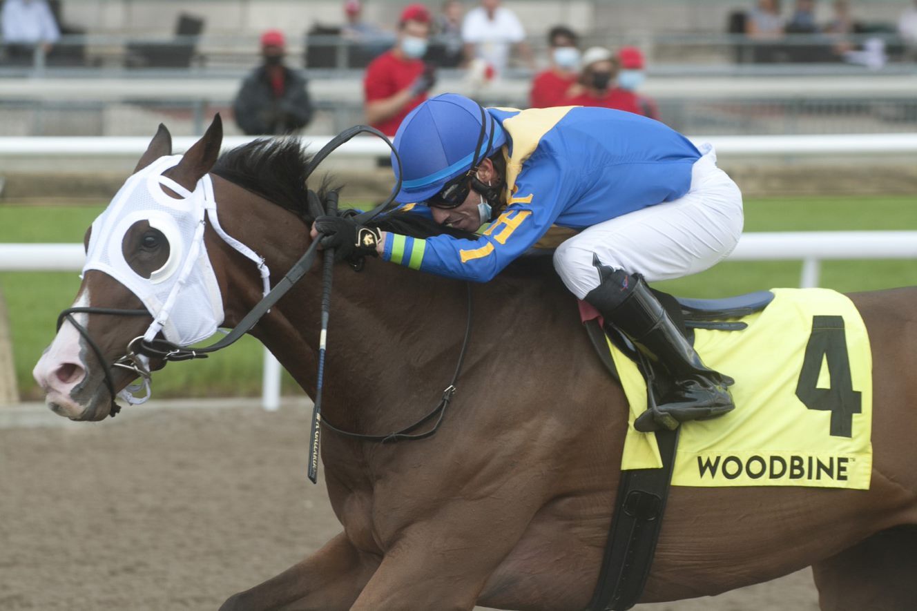 Avoman winning the 2021 Plate Trials Stakes for trainer Don MacRae. (Michael Burns Photo)