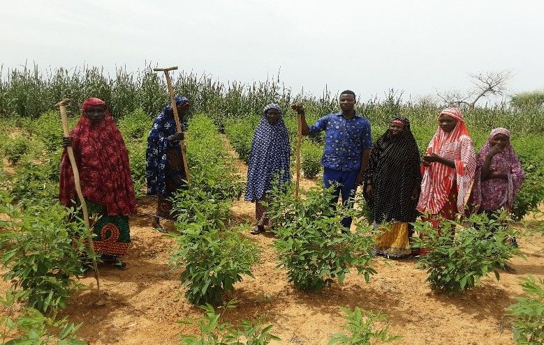 Promoting Sustainable and Resilient Crop-Livestock Systems in Niger 