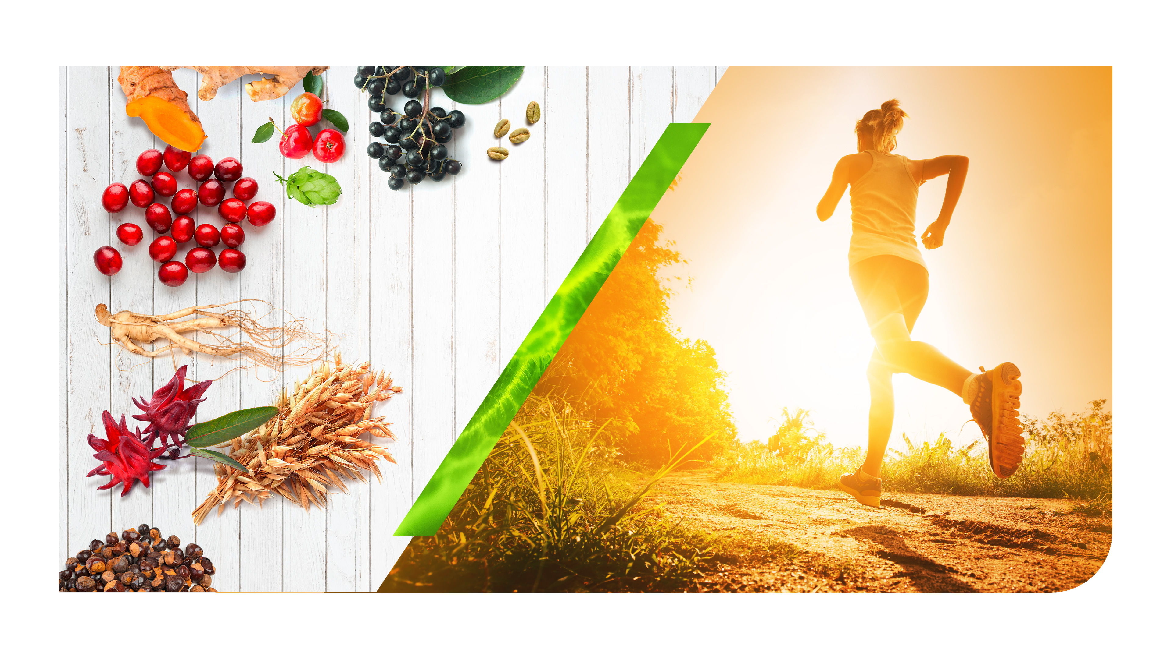 Sports nutrition will be a major focus for Naturex at Vitafoods Europe 2019