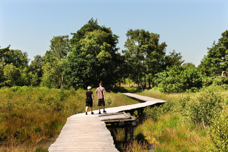 NP De Groote Peel