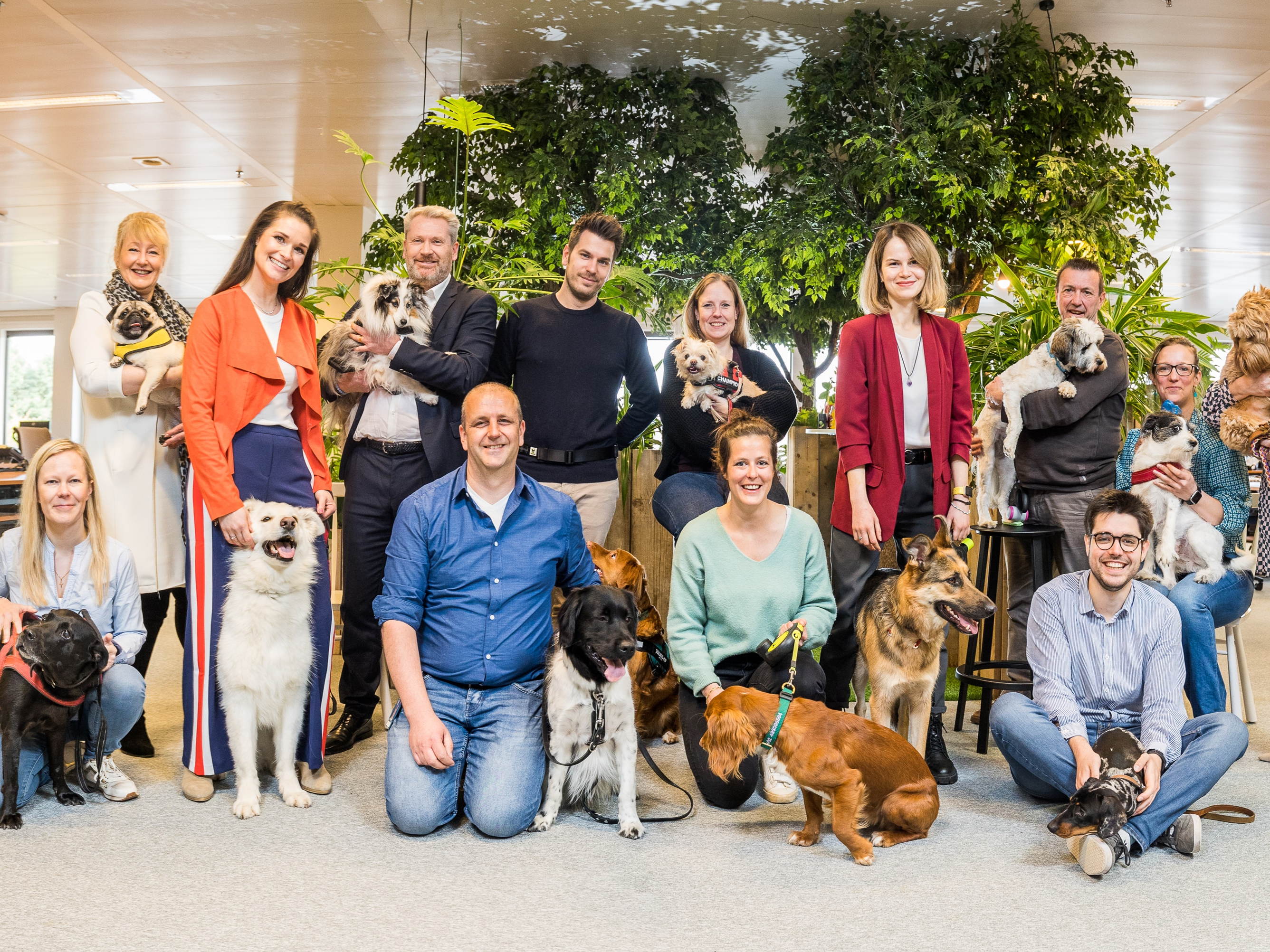 63% des Belges sont plus heureux en présence d’un chien au bureau