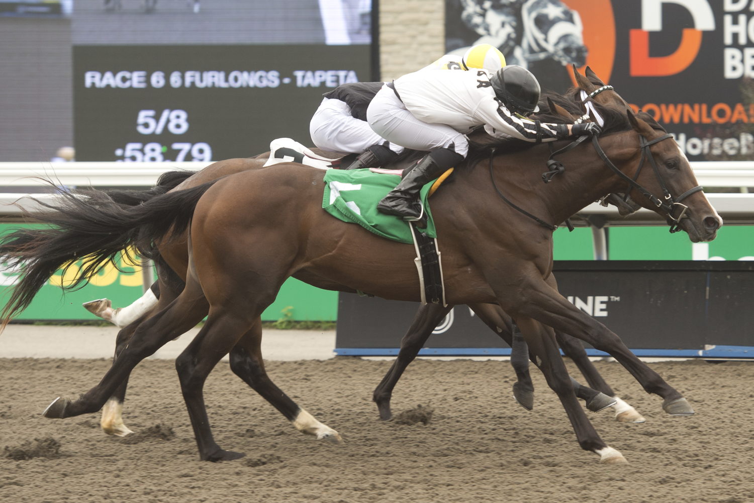 Break the Spell and jockey Skye Chernetz winning Race 6 on September 10 at Woodbine (Michael Burns Photo)  