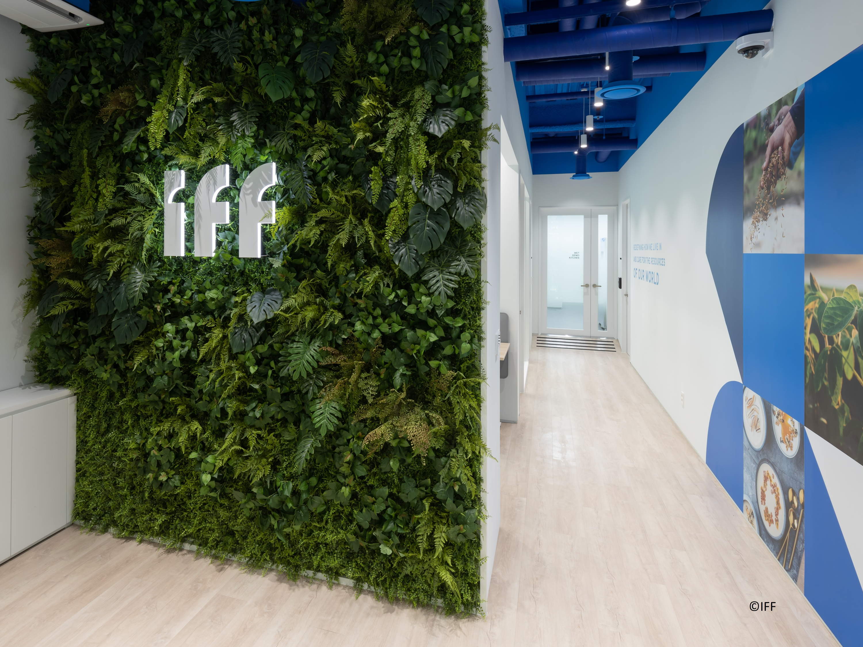 New IFF Co-creation Center to Redefine Food & Beverages in South Korea