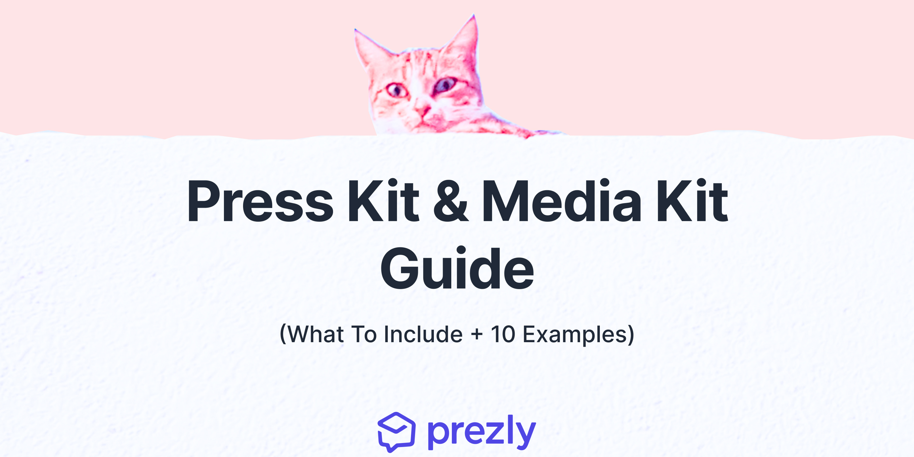 Press Kit & Media Kit Guide (What To Include + 10 Examples) PR Academy
