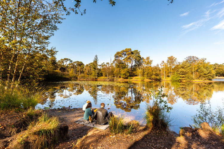 Oisterwijkse Bossen