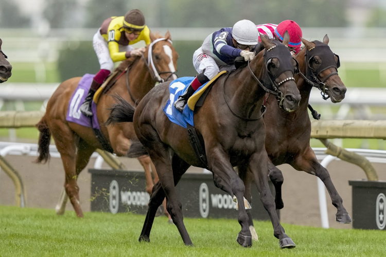 Dream Shake (3) and Rafael Hernandez winning Sunday's Grade 2 Connaught Cup Presented by Bulleit Bourbon. (Michael Burns Photo)
