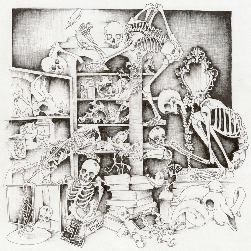 Znalezione obrazy dla zapytania locks skeletal blues