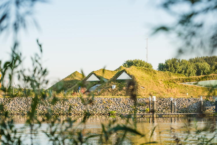 Biesbosch © VisitBrabant