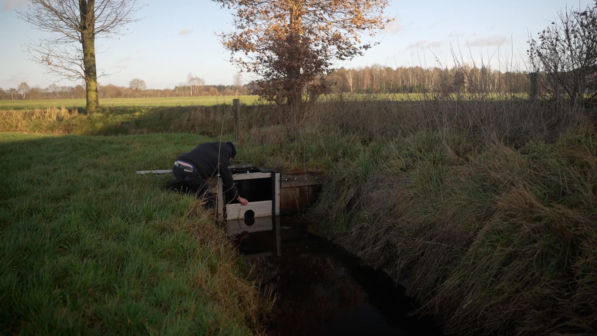 Peilgestuurde drainage