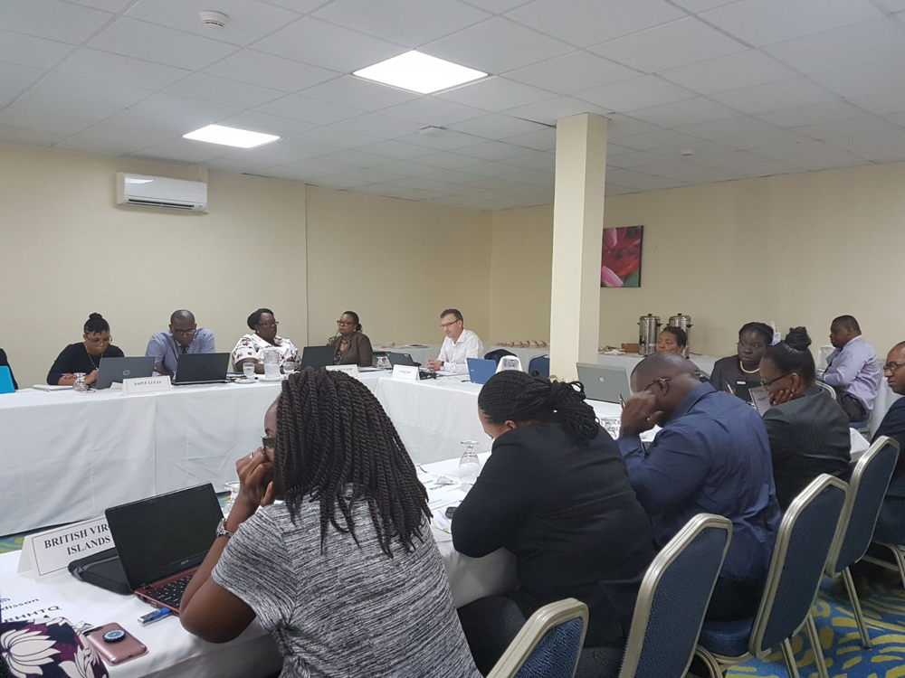 Participants of the Eleventh Living Standards Measurement Committee 