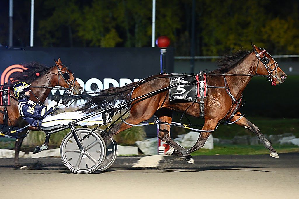 Sylvia Hanover and driver Bob McClure winning the 2 year old filly pace Breeders Crown final on Friday at Woodbine Mohawk Park. (New Image Media)