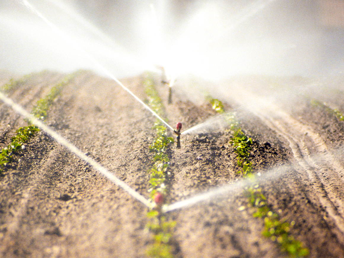 Land- en tuinbouw gebruikt water duurzaam maar heeft prioritaire toegang tot water nodig