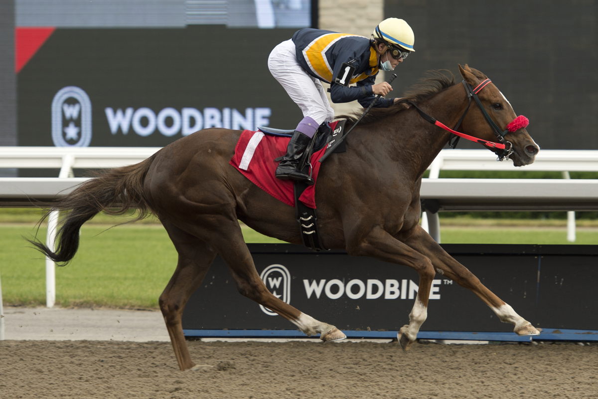 Forester’s Fortune and jockey Daisuke Fukumoto on June 21 2020 at Woodbine. (Michael Burns Photo)