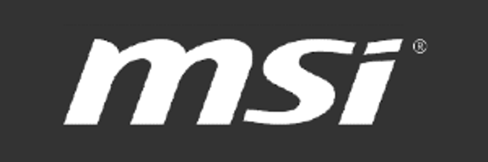 msi logo allg. 300x100.png
