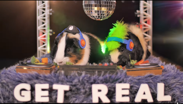 Guinea Pig DJs Star in Get Real's Jolean Music Video
