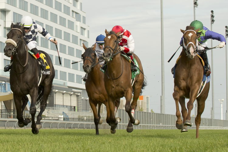 Zippy Gizmo and jockey Kazushi Kimura winning the Bull Page Stakes on September 24, 2023 at Woodbine (Michael Burns Photo)