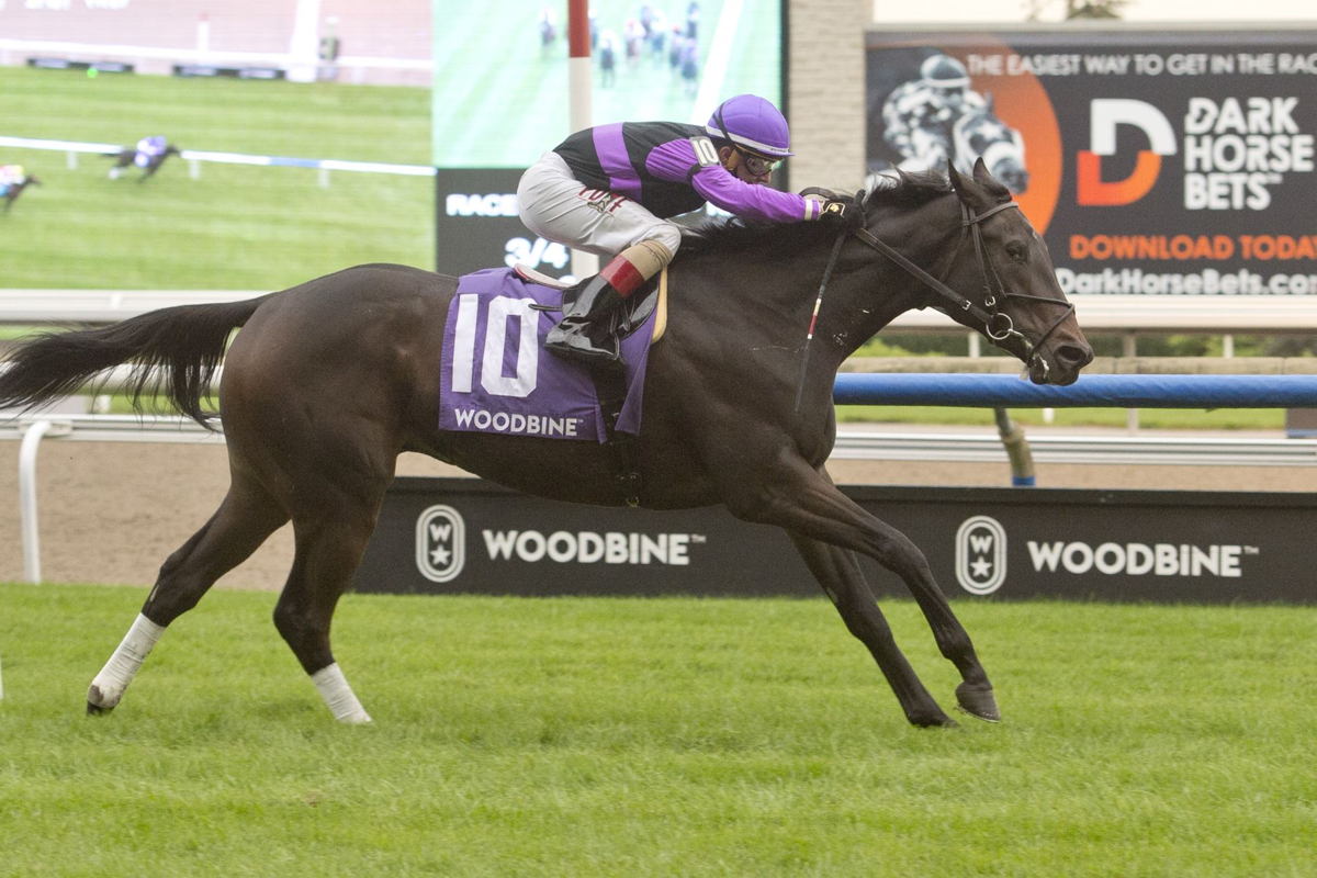 Secret Reserve and Jockey Rafael Hernandez winning the Lake Superior Stakes on October 22, 2021 (Michael Burns Photo)