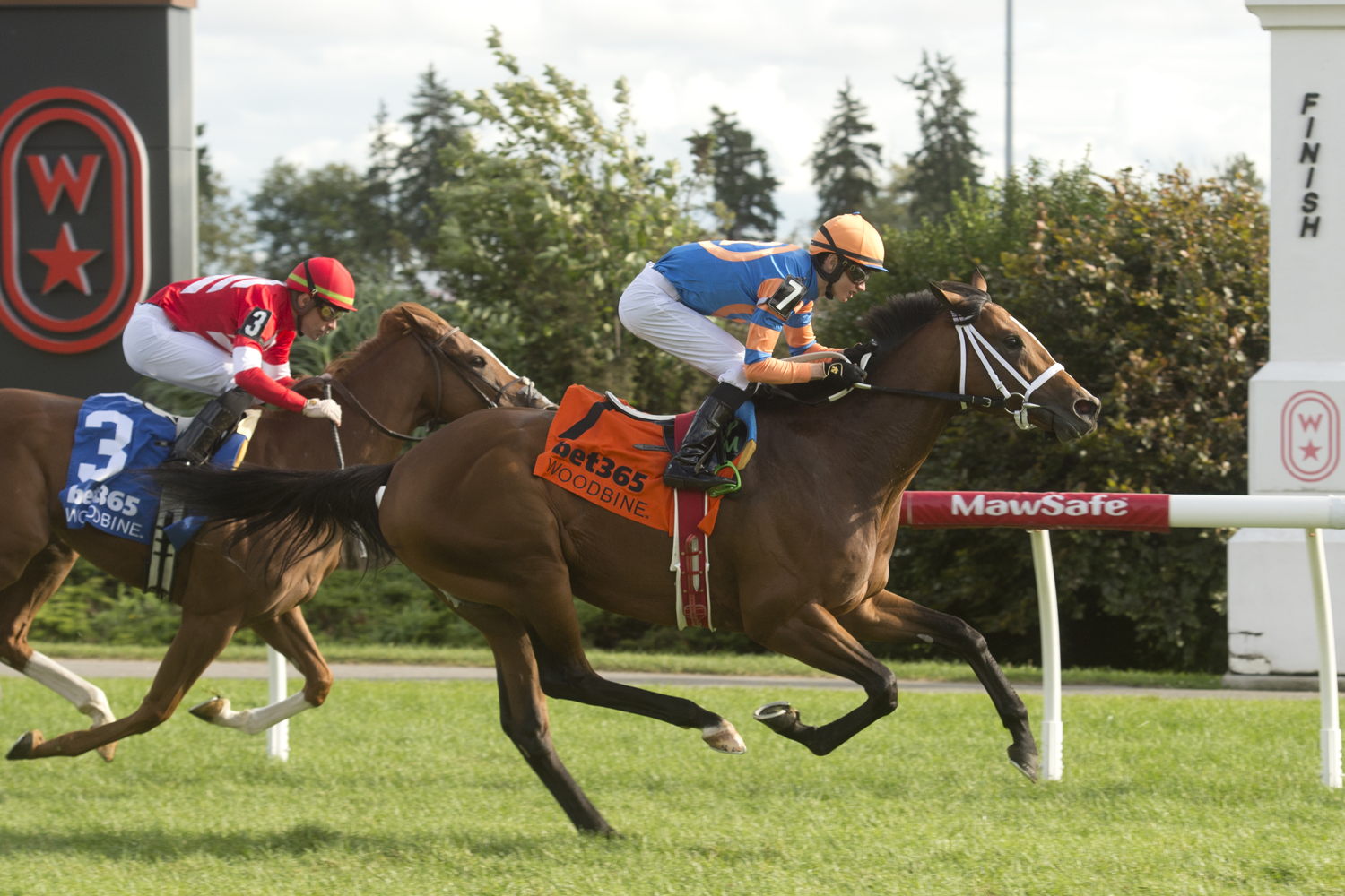 Bail Us Out winning on September 7, 2024 at Woodbine. (Michael Burns Photo)