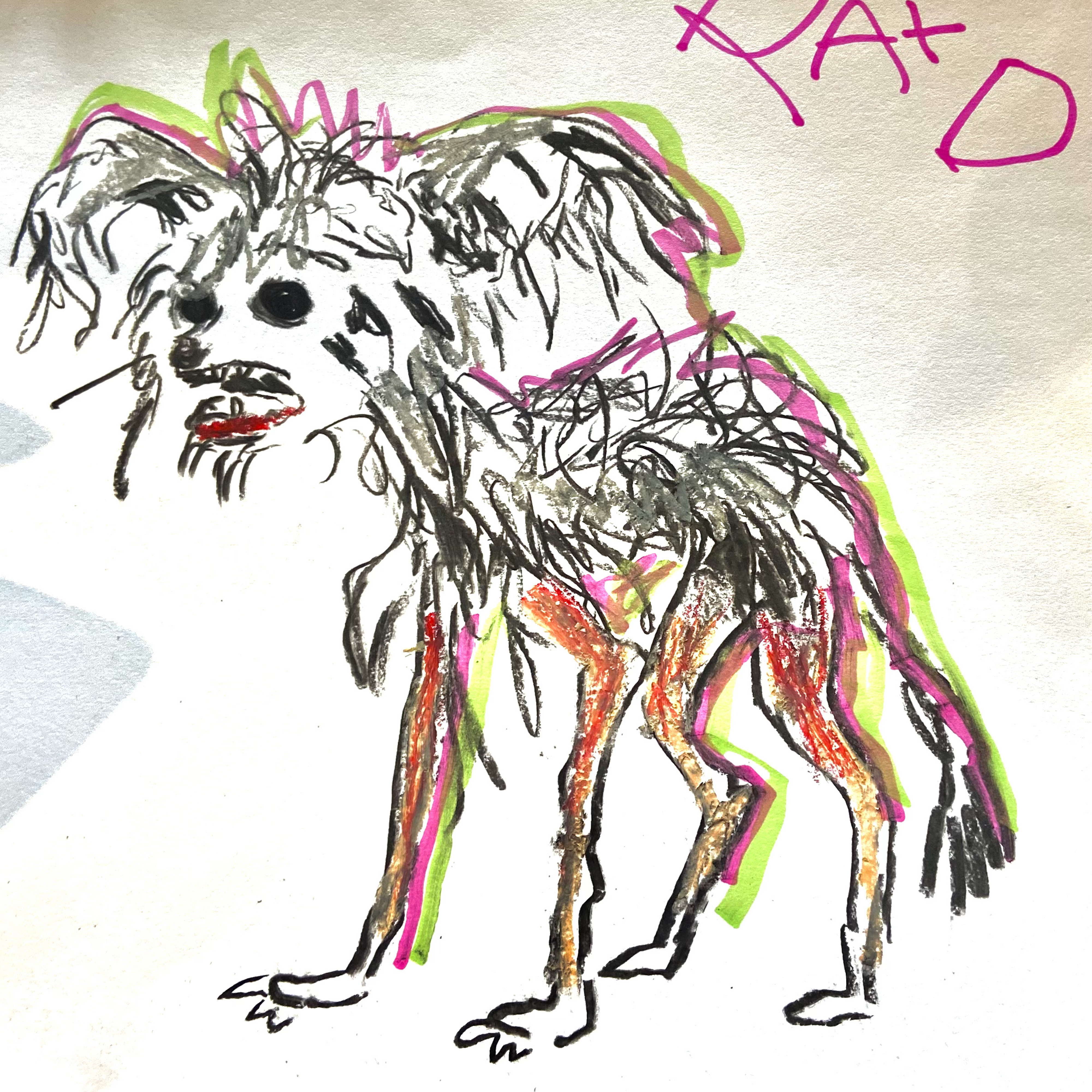 A Weird Little Dog