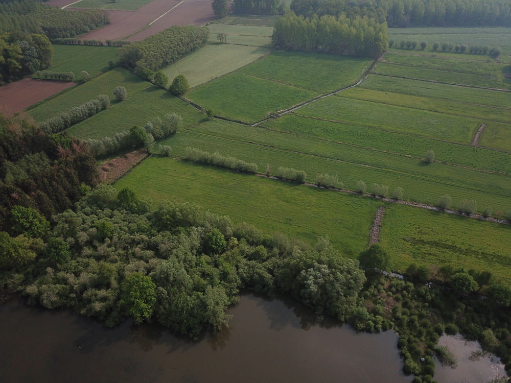 Polsmeersen (© Edward Theuns)