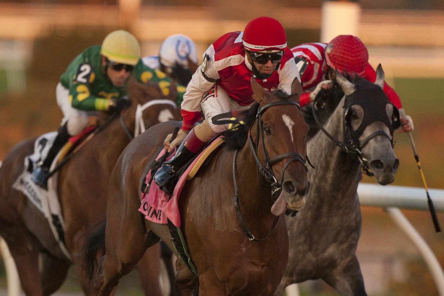 Summer Sunday powers home in Zadracarta Stakes Sept 10, 2021. (Michael Burns Photo)