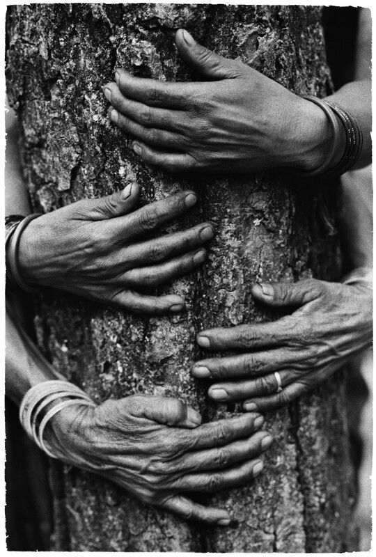 Pamela Singh, Chipko Tree Huggers of the Himalayas #4, 1994 © Pamela Singh, Courtesy of sepiaEYE 