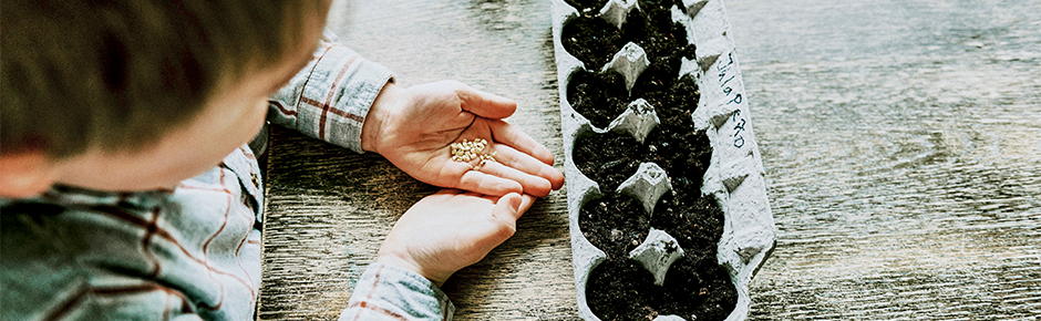 Baromètre ING des investisseurs : quatre investisseurs belges sur dix prévoient d’adapter leur stratégie d’investissement en raison de la nouvelle taxe sur les plus-values