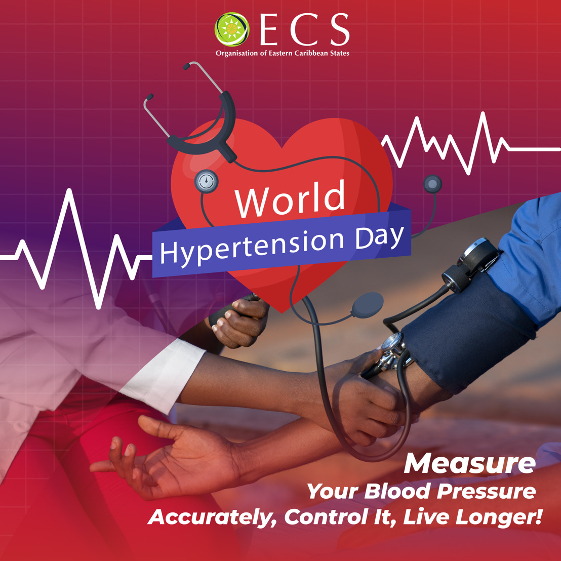 OECS Commemorates World Hypertension Day