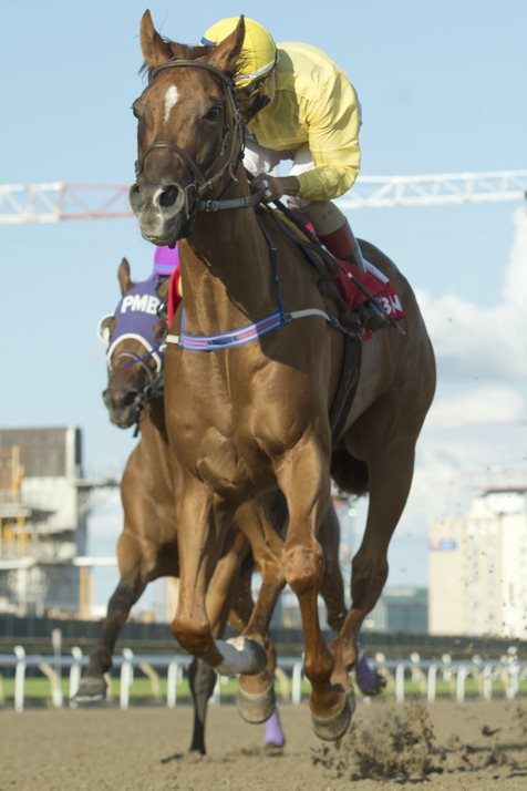 Pink Lloyd captures one of his 28 career wins on July 23, 2020 at Woodbine. (Michael Burns Photo)