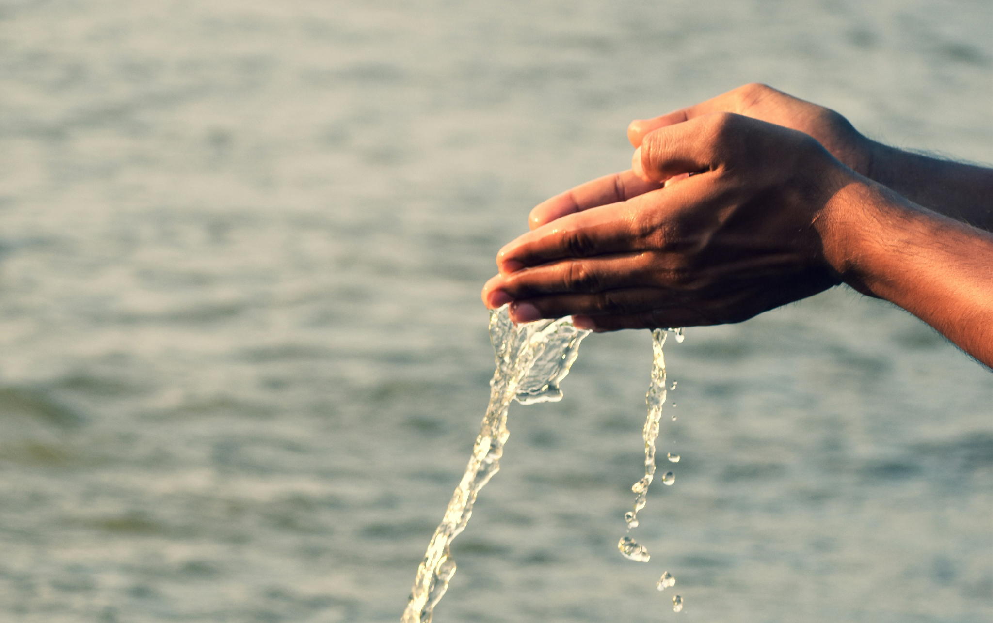 Wave of actions: ocean protection, pride and local wins l Your PES Group newsletter 