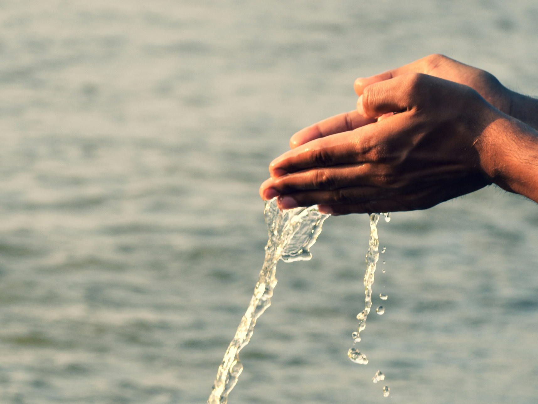 Wave of actions: ocean protection, pride and local wins l Your PES Group newsletter 