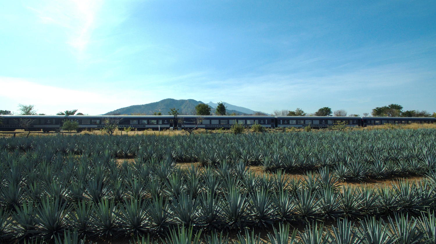 Herradura Express_6