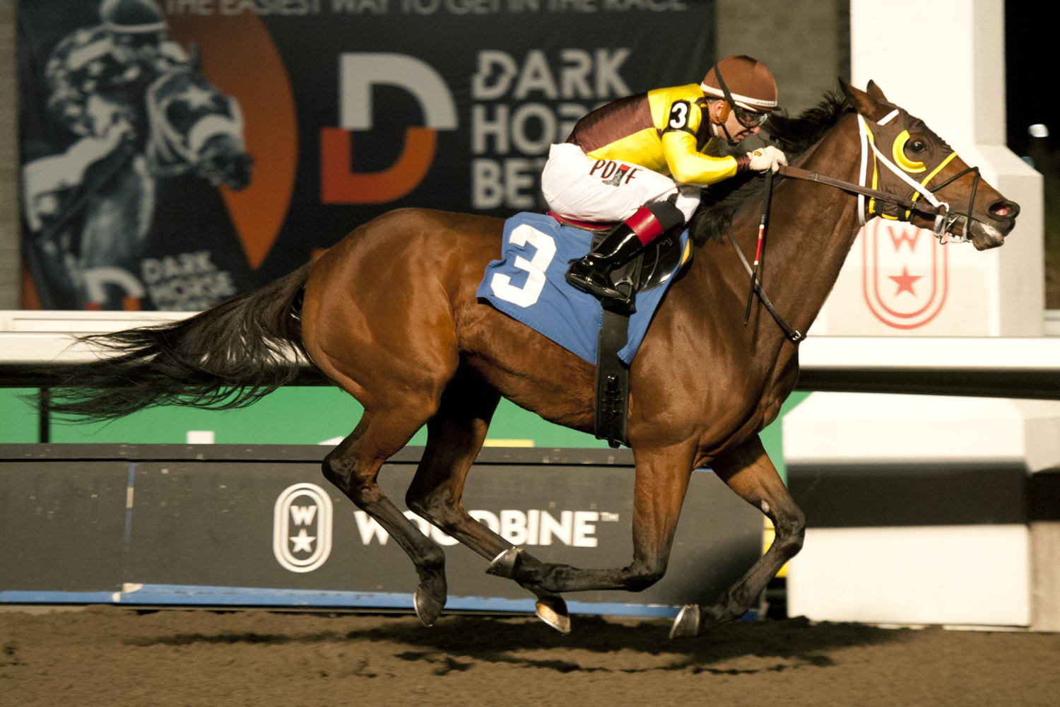 Witch Hazel and jockey Rafael Hernandez winning Race 5 on November 2, 2023 at Woodbine (Michael Burns Photo)