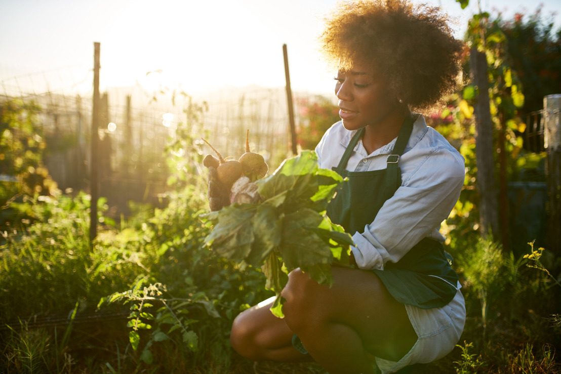 OECS Recognises World Day to Combat Desertification and Drought 2020