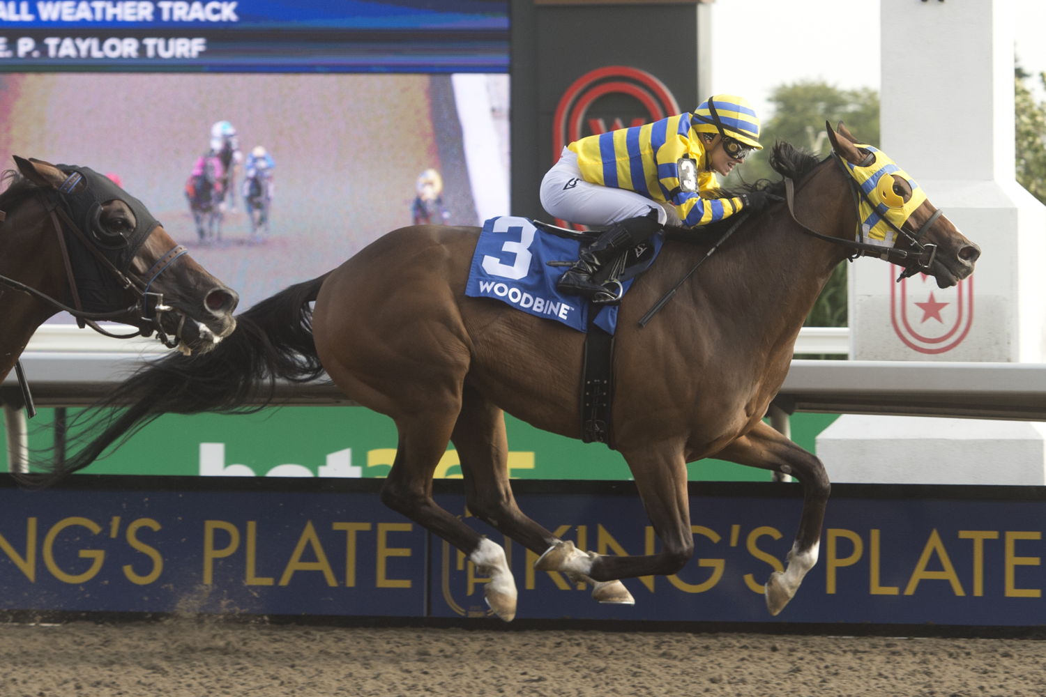 Patches O’Houlihan and Sofia Vives winning the 2024 Bold Venture Stakes at Woodbine (Michael Burns Photo)