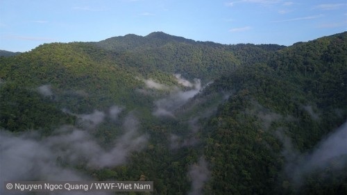 Preview: En partenariat avec le WWF, le Groupe VELUX annonce deux nouveaux projets de conservation et de protection du climat au Vietnam et à Madagascar. 