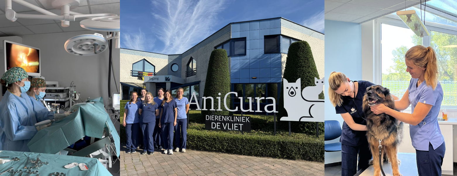 AniCura Dierenkliniek De Vliet