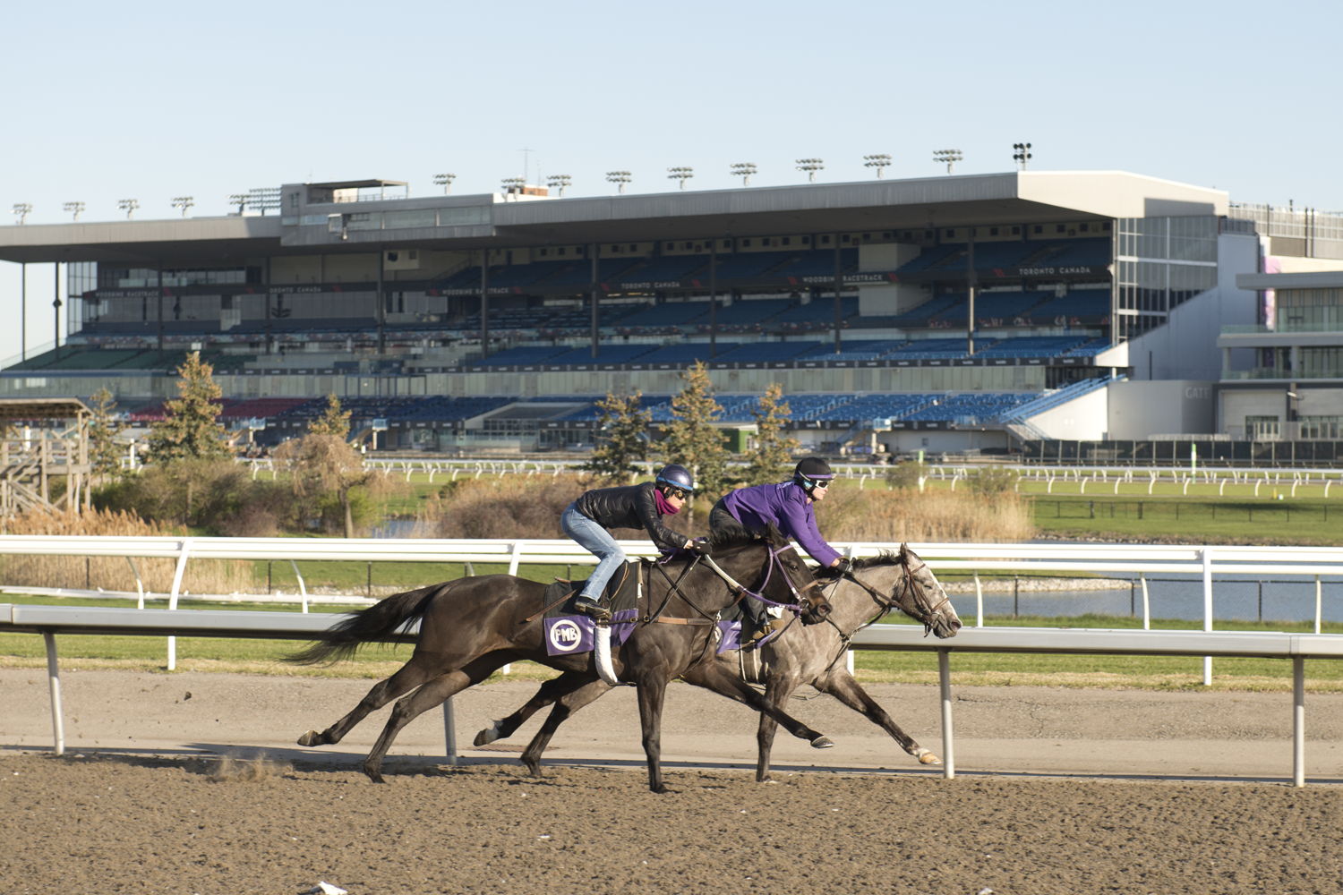 Morning training at Woodbine Racetrack. (Michael Burns Photo)