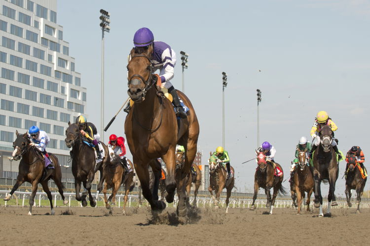 Play the Music and jockey Patrick Husbands winning the Whimsical Stakes on May 4, 2024 at Woodbine (Michael Burns Photo)