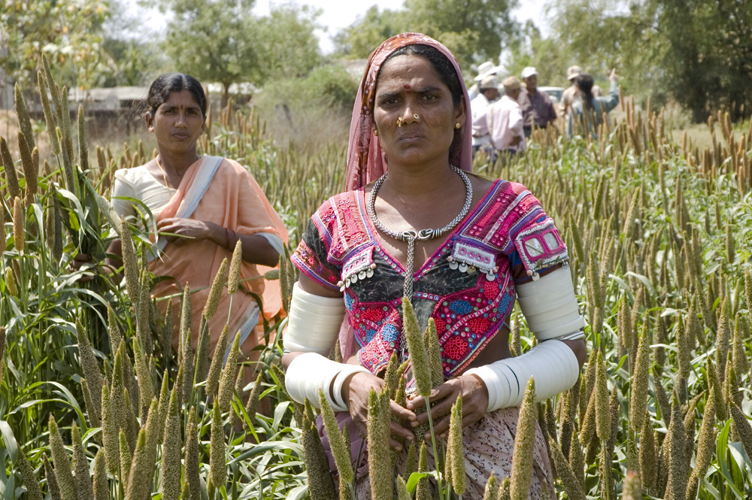 Tribal women farm pearl millet in dryland India